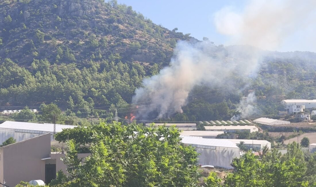 Bozyazı’da orman yangını büyümeden söndürüldü Mersin’in Bozyazı ilçesinde ormanlık alanda çıkan yangın, ekiplerin hızlı müdahalesiyle