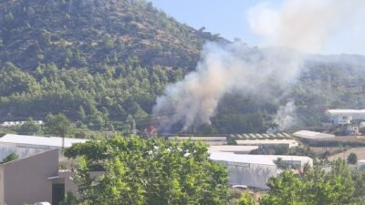 Mersin’in Bozyazı ilçesinde ormanlık alanda çıkan yangın, ekiplerin hızlı müdahalesiyle
