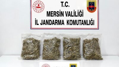 Mersin‘de jandarma ekiplerinin düzenlediği baskında 2 kilogram esrar ele geçirildi,
