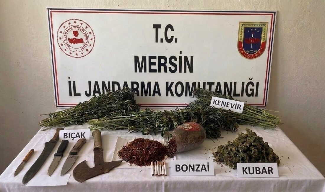 Mersin‘de jandarma ekiplerinin uyuşturucu madde ticareti ve yasa dışı kenevir