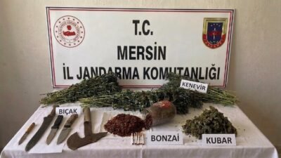 Mersin‘de jandarma ekiplerinin uyuşturucu madde ticareti ve yasa dışı kenevir