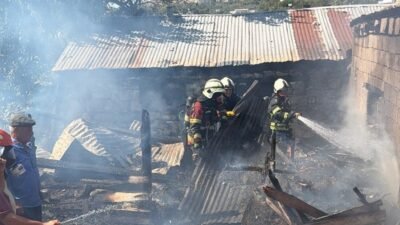 Ahır yangınında 5 hayvan telef oldu Mersin’in Mut ilçesinde bir ahırda çıkan yangında 5 küçükbaş hayvan