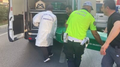 Mersin’in Erdemli ilçesinde tır ile çarpışıp savrularak kamyonete vuran motosikletin