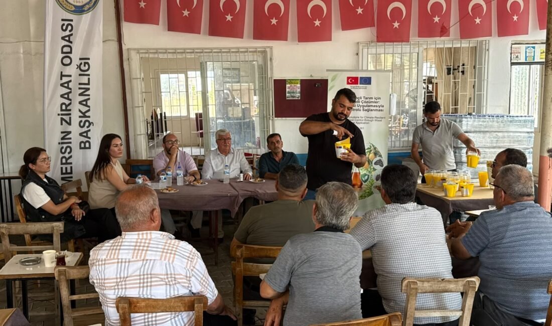 Mersin’de çiftçilere yönelik gerçekleştirilen saha eğitimlerinde, Akdeniz meyve sineğiyle mücadelede