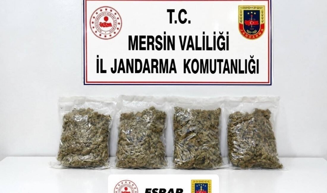 Mersin’de jandarma ekiplerinin yaptığı çalışmada 2 kilo 100 gram esrar