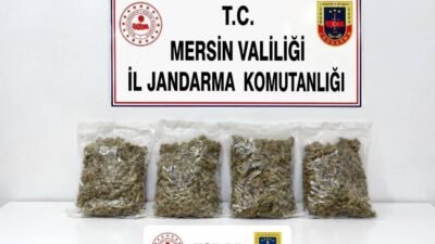 Mersin’de jandarma ekiplerinin yaptığı çalışmada 2 kilo 100 gram esrar