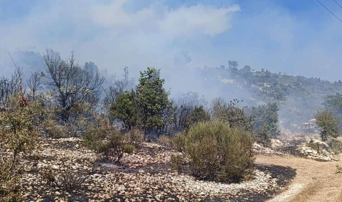 Mersin‘in Silifke ilçesinde bahçelerin arasında çıkan yangın, yerleşim yerlerine ve