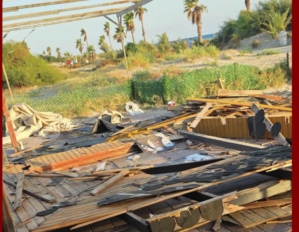 Mersin’in Silifke ilçesine bağlı Taşucu Mahallesi’ndeki Kum Sahili’nde, vatandaşların yoğun