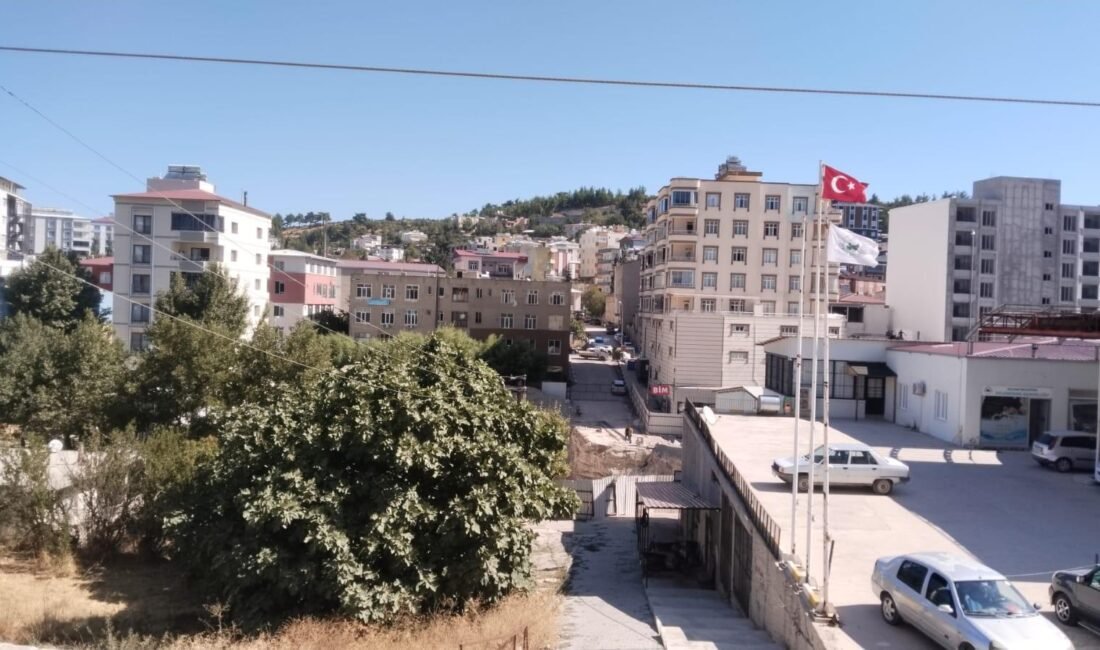 Gülnar’da sivrisinek sorunu vatandaşları canından bezdirdi. Sineklerle mücadelede ilaçlama çalışmalarının