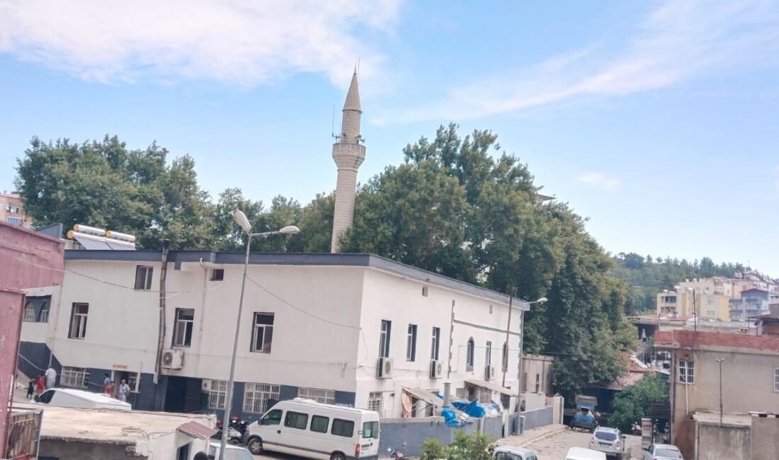 GÜLNAR’A 7 YILDIR GÜNLÜK GAZETE GELMİYOR! Mersin’in Gülnar ilçesinde günlük gazetelerin satışının durması, ilçedeki okuma kültürü