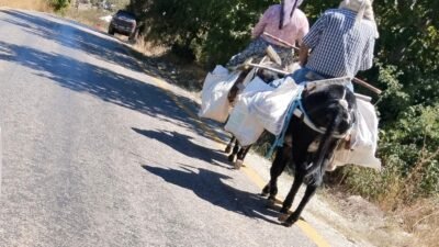 Gülnar’ın hafızasındaki eşekler artık yok denecek kadar az