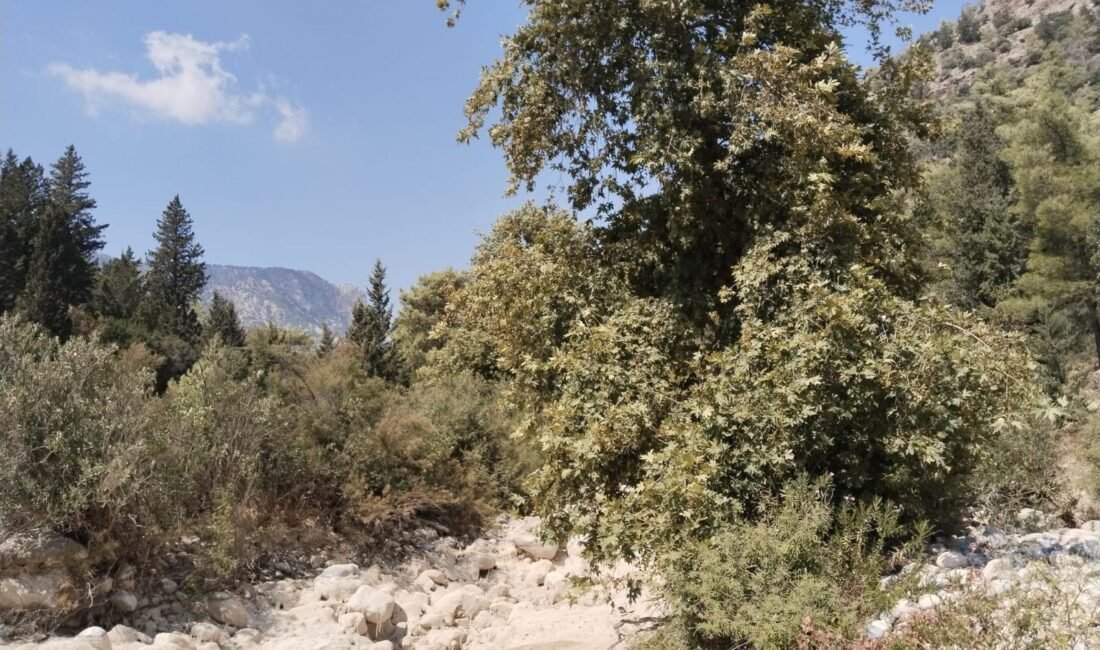 KÜRESEL İKLİM DEĞİŞİKLİĞİ FARKINDALIK EĞİTİMLERİ YAYGINLAŞTIRILMALI Çocuk Hakları ve Çocuk Koruma Sistemleri İl Akran Eğitimi Danışmanı