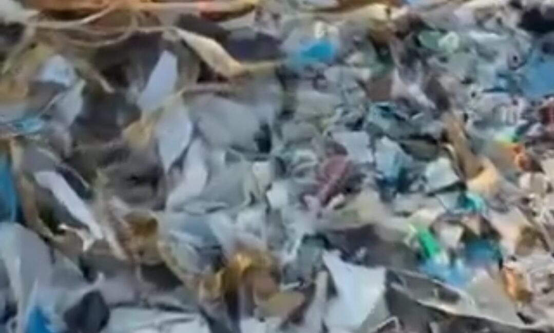 DEM Parti Mersin Milletvekili Perihan Koca, Mersin’in Akdeniz ilçesi Kazanlı