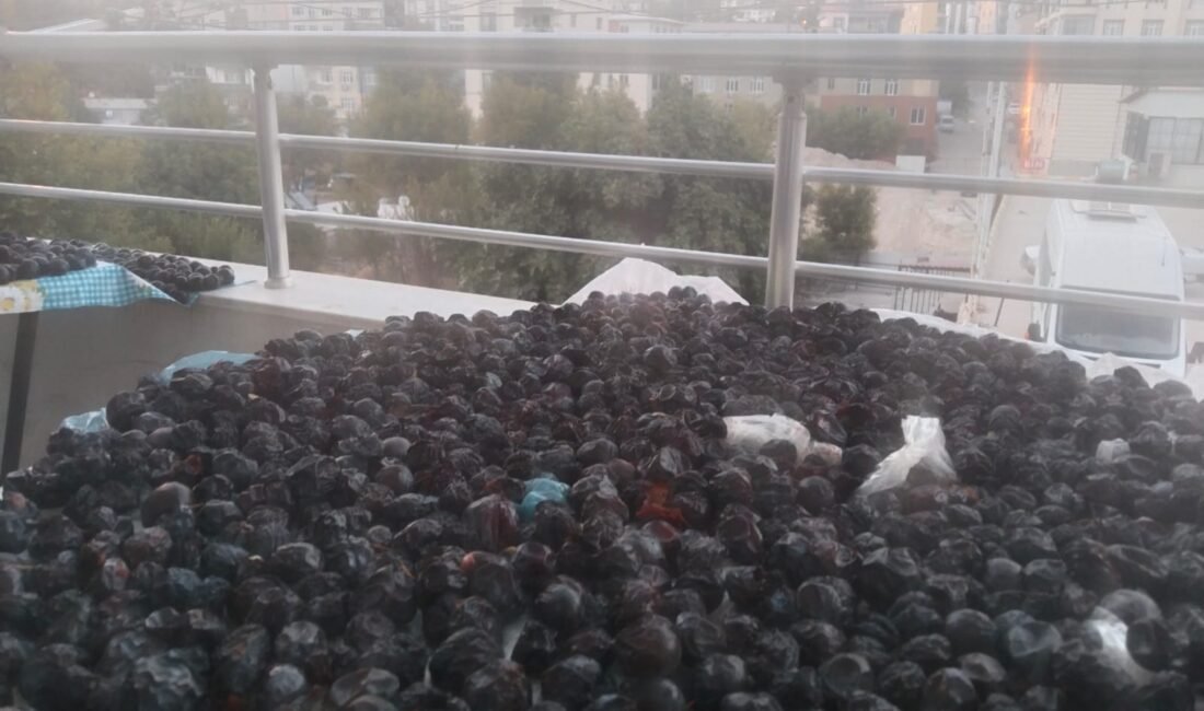 Mersin’in Gülnar ilçesinde bölgenin önemli geçim kaynaklarından biri olan kara