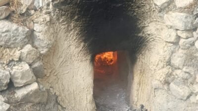 Mersin’in Gülnar ilçesinde, yüzyıllardır sürdürülen geleneksel pekmez üretimi bu yıl