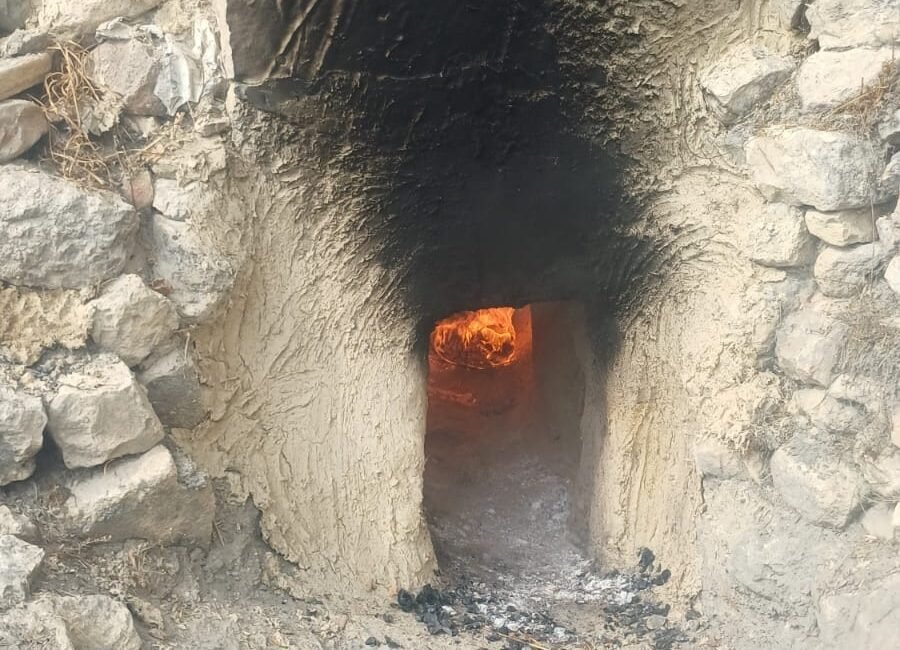 Mersin’in Gülnar ilçesinde, yüzyıllardır sürdürülen geleneksel pekmez üretimi bu yıl