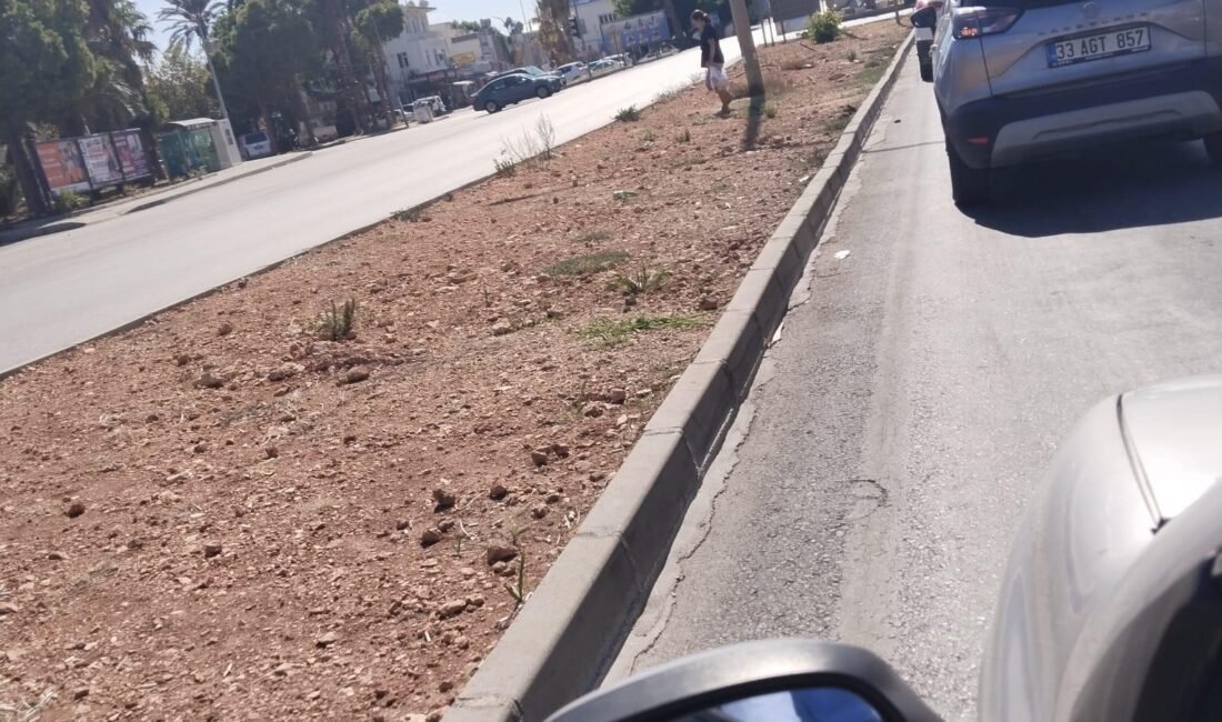 Mersin’in Silifke ilçesine bağlı Taşucu, deniz turizminin yanı sıra ticaret