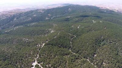 Resmi Gazete’de yayımlanan Cumhurbaşkanı Kararı’yla, Afyonkarahisar, Ankara, Balıkesir, Bingöl, Bolu,