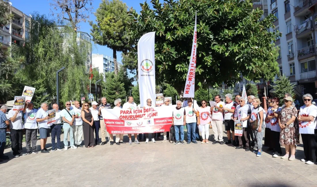 2017 Tüm Emeklilerin Sendikası (Tüm Emekli-Sen) ve DİSK Devrimci Emekli-Sen