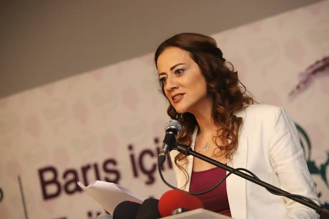 Milletvekili Derya, "Hem Türkiye Cumhuriyeti’nden hem de KKTC’den geminin yolcu