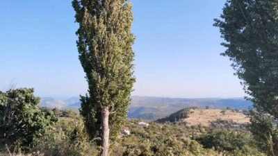 GÜLNAR’DA ŞİDDETLİ POYRAZ Mersin’in Gülnar ilçesi başta olmak üzere Taşeli bölgesinde şiddetli poyraz etkisini sürdürüyor.