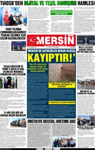 Yayın