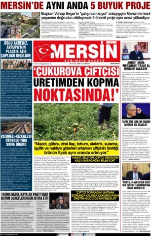 Yayın