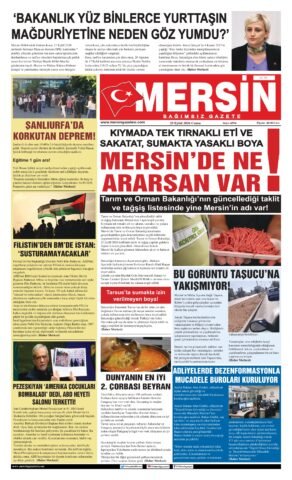 Yayın