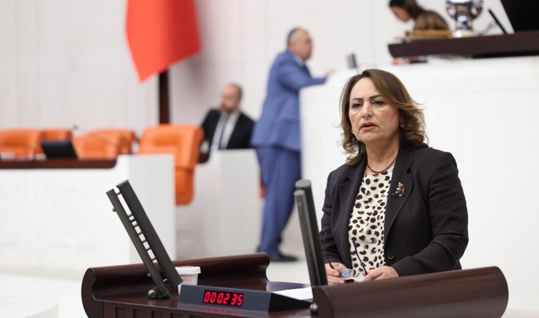 ÇUKUROVA ÇİFTÇİSİ ÜRETİMDEN KOPMA NOKTASINDA! CHP Adana Milletvekili, TBMM Başkanlık Divanı Üyesi, Jeoloji Yüksek Mühendisi