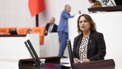  CHP Adana Milletvekili, TBMM Başkanlık Divanı Üyesi, Jeoloji Yüksek Mühendisi