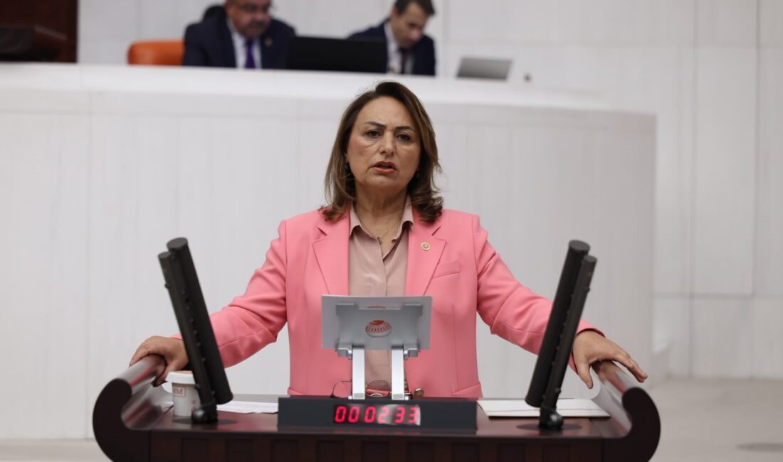  CHP Adana Milletvekili, TBMM Başkanlık Divanı Üyesi Dr. Müzeyyen Şevkin,