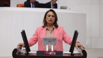  CHP Adana Milletvekili, TBMM Başkanlık Divanı Üyesi Dr. Müzeyyen Şevkin,