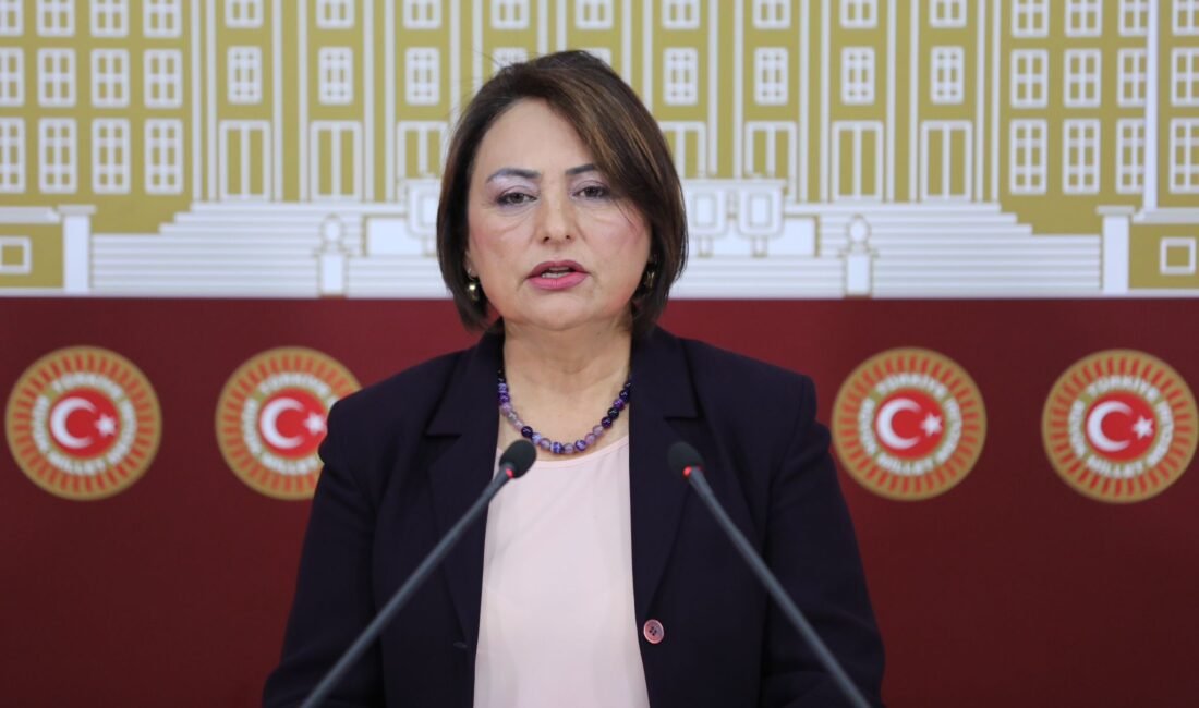 “Kamu elinde gelir getiren varlıklar neden özelleştiriliyor?” CHP Adana Milletvekili, TBMM Başkanlık Divanı Üyesi Dr. Müzeyyen Şevkin,