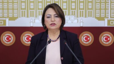 “Kamu elinde gelir getiren varlıklar neden özelleştiriliyor?” CHP Adana Milletvekili, TBMM Başkanlık Divanı Üyesi Dr. Müzeyyen Şevkin,
