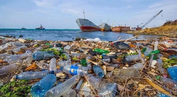 Mersin Çevre ve Doğa Derneği, Akdeniz’in Anamur kıyılarında yeniden başlatılan
