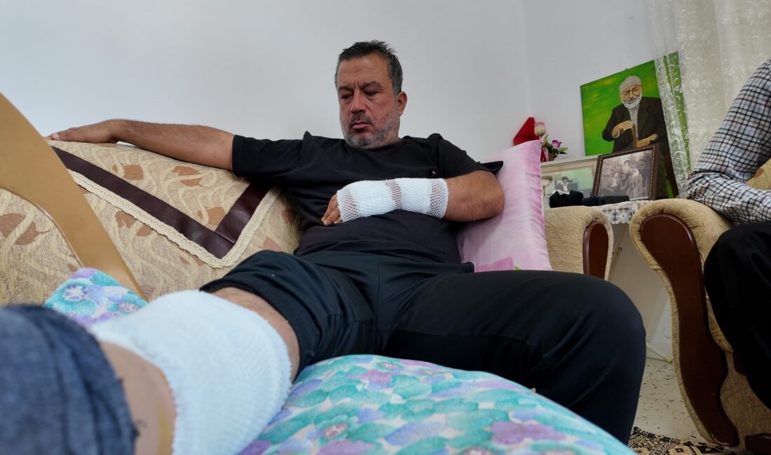 Mersin‘in Erdemli ilçesinde sahipli olduğu öğrenilen ancak başıboş kalan bir