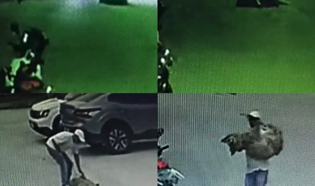 Mersin’in Silifke ilçesinde otomobille ezilen sahipli köpek tedavi altına alındı