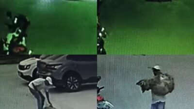 Mersin’in Silifke ilçesinde otomobille ezilen sahipli köpek tedavi altına alındı