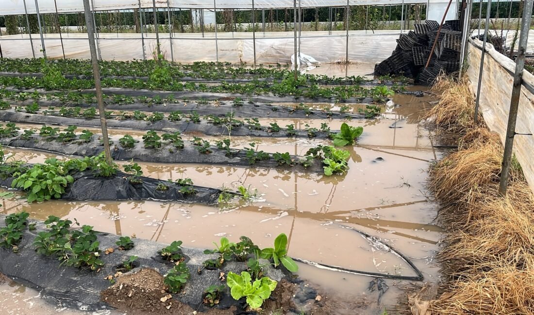 Mersin’in Silifke ve Erdemli ilçesinde şiddetli yağış etkili oldu, birçok