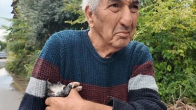 Mersin‘de Mehmet dede, şiddetli yağışların ardından su basan bir bahçeye