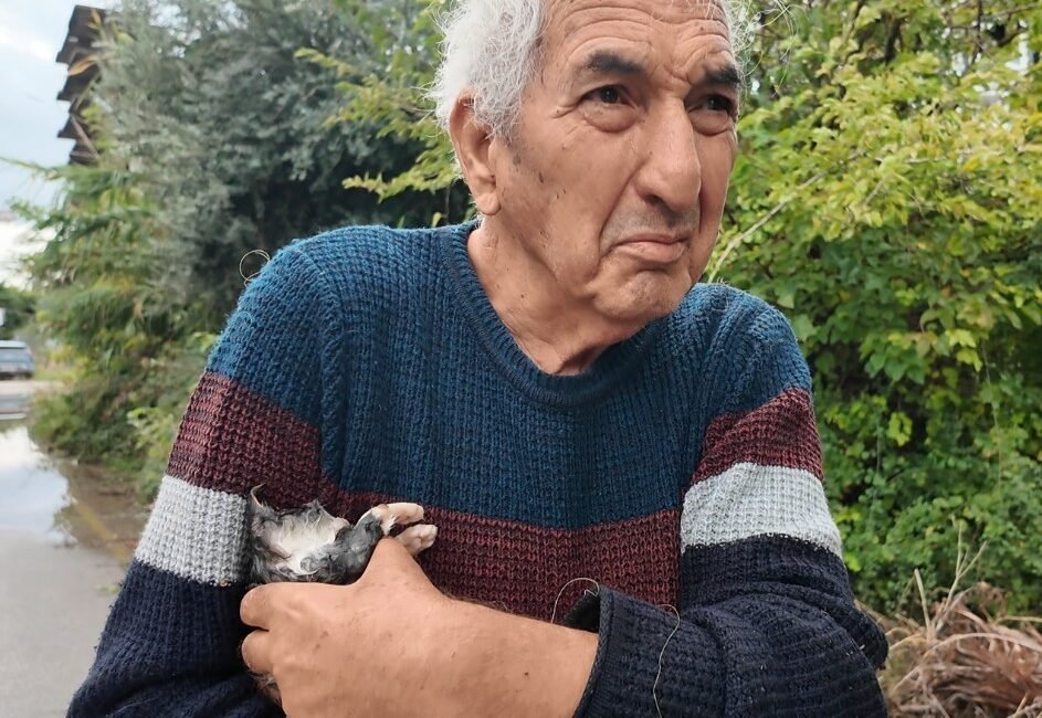 Mersin‘de Mehmet dede, şiddetli yağışların ardından su basan bir bahçeye