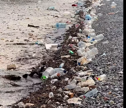 Sağanak yağışın ardından Mersin sahil şeridinde biriken plastik atıklar ve