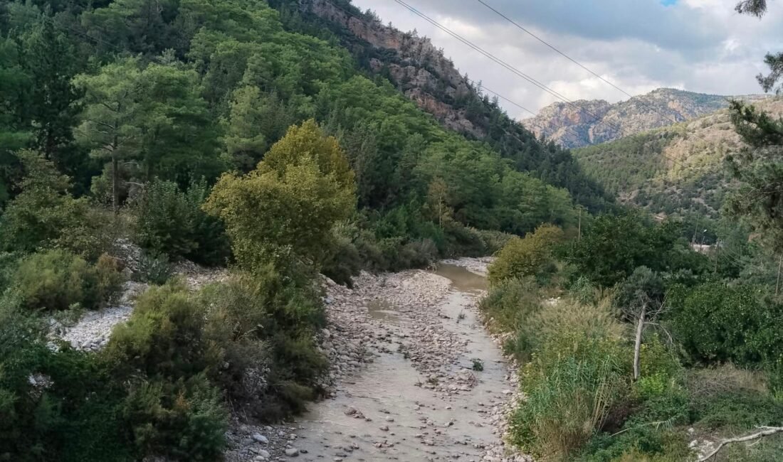 KURAK DERELER AYLAR SONRA SUYA KAVUŞTU! Yaz aylarında kuraklık nedeniyle suyu çekilen dereler, etkili olan yağışların