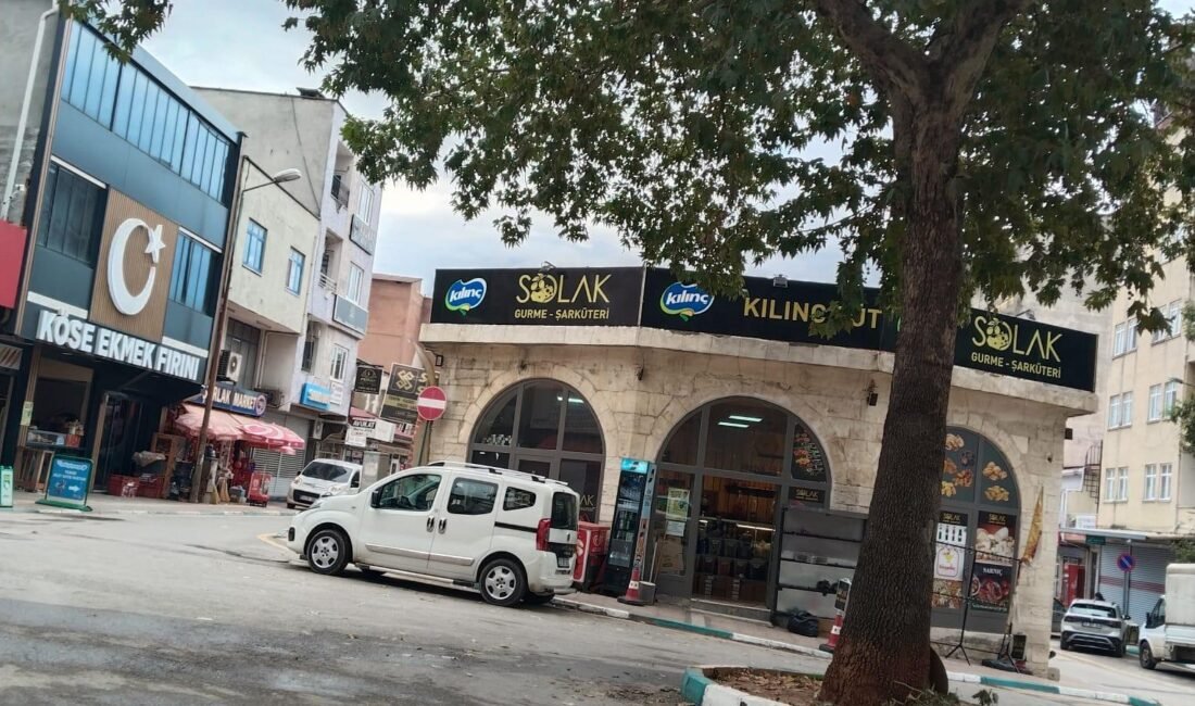 GÜLNAR’IN GİRİŞ VE ÇIKIŞ YOLLARINA ÇINAR AĞAÇLARI DİKİLSİN! Mersin’in yayla ilçelerinden Gülnar’da, ilçe giriş ve çıkış yollarının çınar