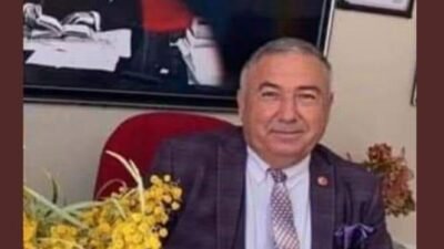 İl Akran Eğitimi ve Çocuk Koruma Sistemleri Akran Eğitimi Danışmanı