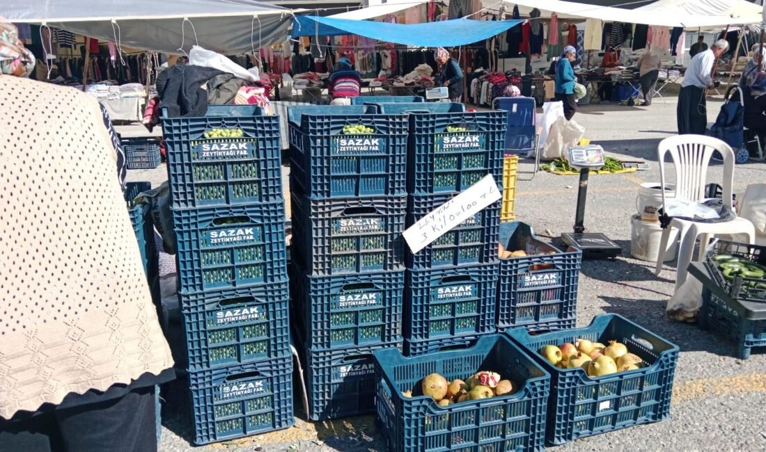 Mersin’in Gülnar ilçesinde zeytin hasadıyla birlikte pazara gelen ürün miktarı