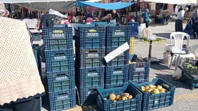 Mersin’in Gülnar ilçesinde zeytin hasadıyla birlikte pazara gelen ürün miktarı