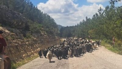 YÖRÜK GÖÇERLER AKDENİZ YOLLARINDA Türklerin yüz yıllardır Orta Asya’dan Anadolu’ya yaşam kültürü olan Göçerlik