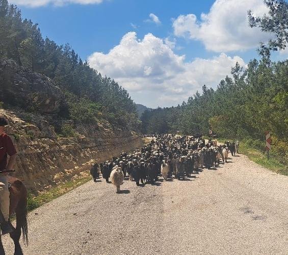 YÖRÜK GÖÇERLER AKDENİZ YOLLARINDA Türklerin yüz yıllardır Orta Asya’dan Anadolu’ya yaşam kültürü olan Göçerlik