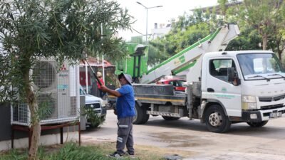 TOROSLAR’DA AĞAÇ BUDAMA VE BAKIM ÇALIŞMALARI SÜRÜYOR Toroslar Belediyesi, ilçe genelindeki yeşil alanların korunması ve çevre güvenliğinin